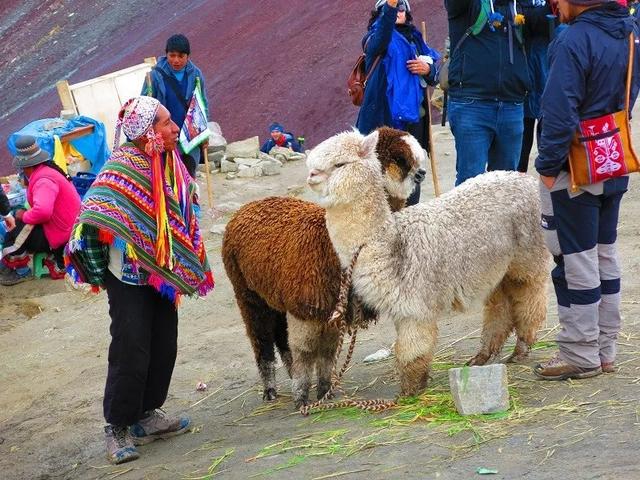 秘鲁户外旅行,行走在海拔5000米的彩虹山