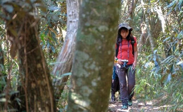 萨洛蒙(Salomon)VAYA中帮防水登山鞋实测,一款女孩专属户外鞋