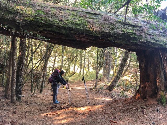 登山鞋中的“法拉利”,AKU轻量多功能登山徒步鞋实测体验