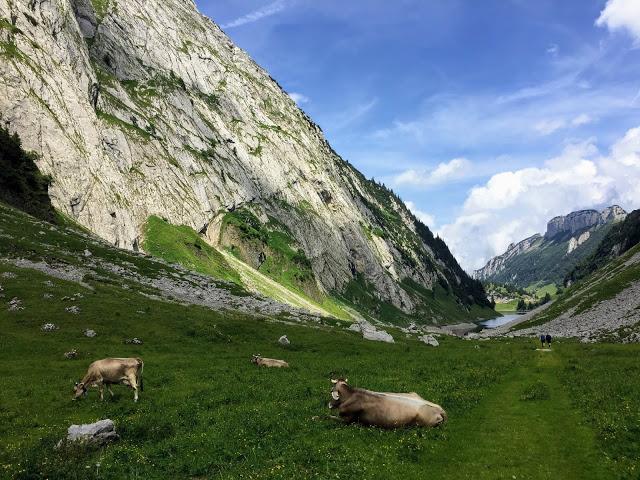 去瑞士徒步旅行,那得来阿彭策尔小镇法伦湖的这几条徒步线路