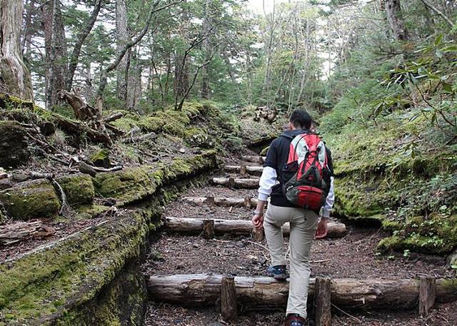 爬富士山攻略,去日本爬富士山新手指南