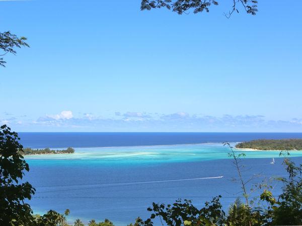 大溪地自助游,法属玻里尼西亚群岛之一Bora Bora游记