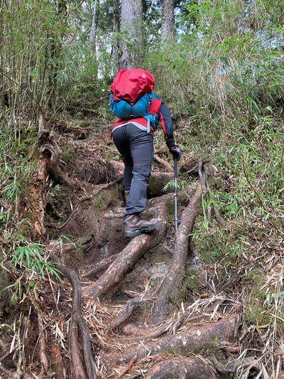 什么样的登山鞋好?Lowa户外登山鞋实穿测评分享