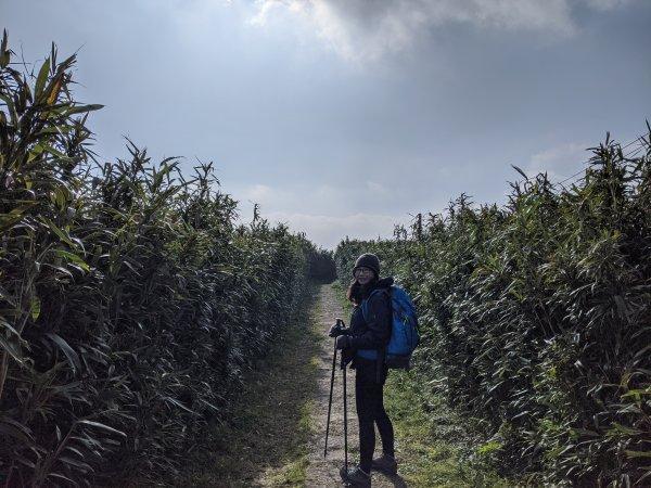 登山穿什么裤子比较适合?看看都有哪些登山裤可选择