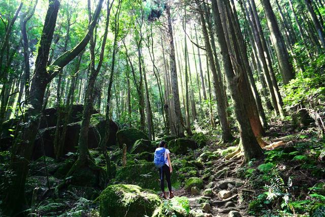 脚踩KEEN登山靴测评,沉迷登山自在快乐