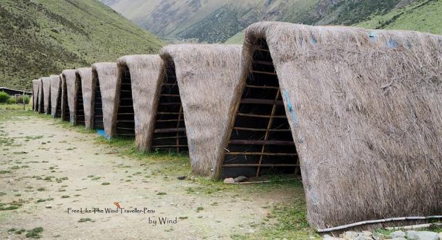 中南美洲,秘鲁印加古道Salkantay trek五天四夜徒步之旅