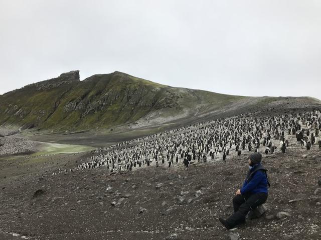 越过南极才算环游世界,想看去南极旅游的游记在这里