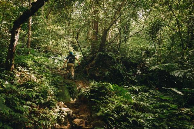 Columbia(哥伦比亚) 高帮防水徒步鞋,跋山涉水无所畏惧