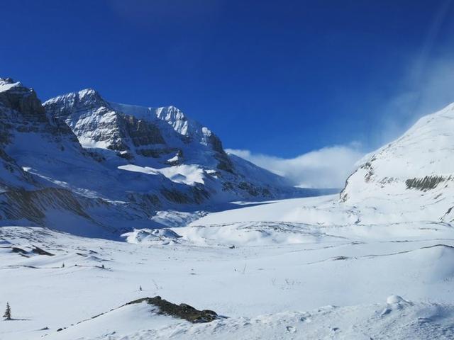 加拿大自驾游,冰原大道公路上的一路美景