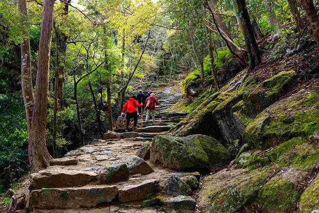 日本登山统计,单独爬山意外率比结伴出行高一倍