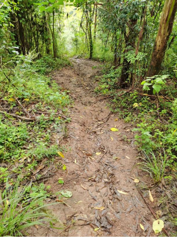 KAILAS凯乐石的旗舰级越野跑山鞋—FUGA PRO 3测评