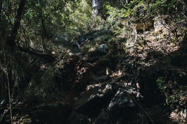 户外登山鞋的选择,新买的AKU徒步登山鞋体验测评报告