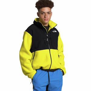 The North Face北面 95 Retro Denali Jacket男款复古抓绒夹克