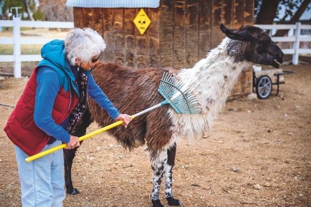 巴塔哥尼亚Patagonia推出复古再生羽绒背心,都是用垃圾做的?