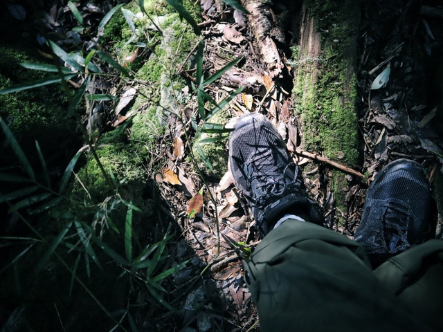 我的萨洛蒙Salomon登山鞋,游走于生活日常与户外探险之间