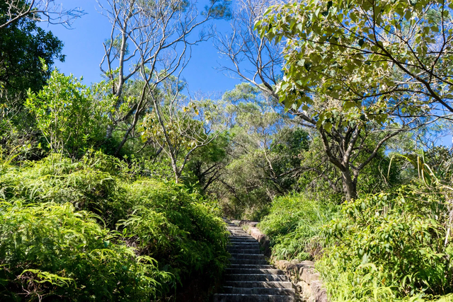 你还在穿传统的高帮登山鞋吗?实测Merrell迈乐低帮徒步鞋