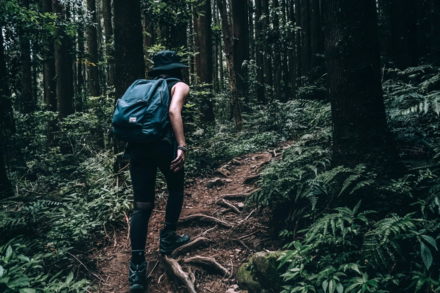 新手入手一双登山鞋,Salomon萨洛蒙登山鞋实穿分享