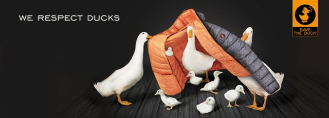 意大利户外品牌Save The Duck羽绒服实测,除了保暖还能救鸭子的命