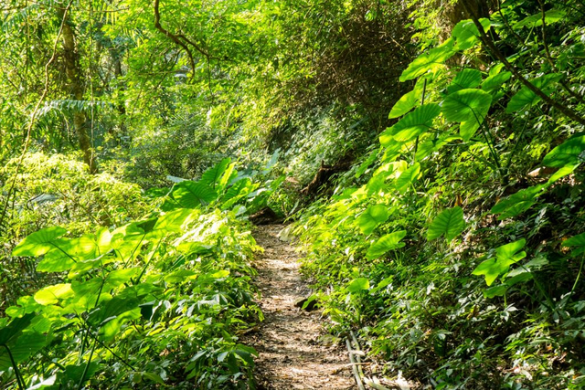 你还在穿传统的高帮登山鞋吗?实测Merrell迈乐低帮徒步鞋