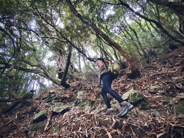 登山品牌KEEN徒步登山鞋体验,城市与户外最喜欢穿的就是它