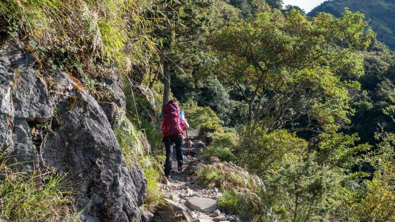女生去爬山应该穿紧身运动裤? 这件Fjällräven北极狐登山裤好看还实用