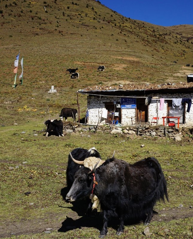 世界级十二条经典徒步旅行路线，你都走过几条