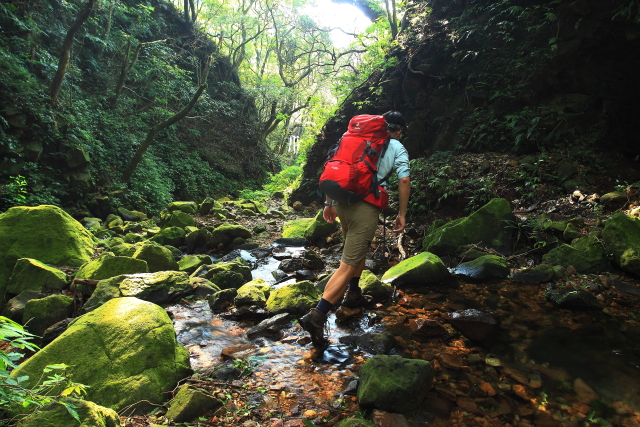 能让你清爽登山的Deuter(多特)户外背包，徒步背包也可微风拂背