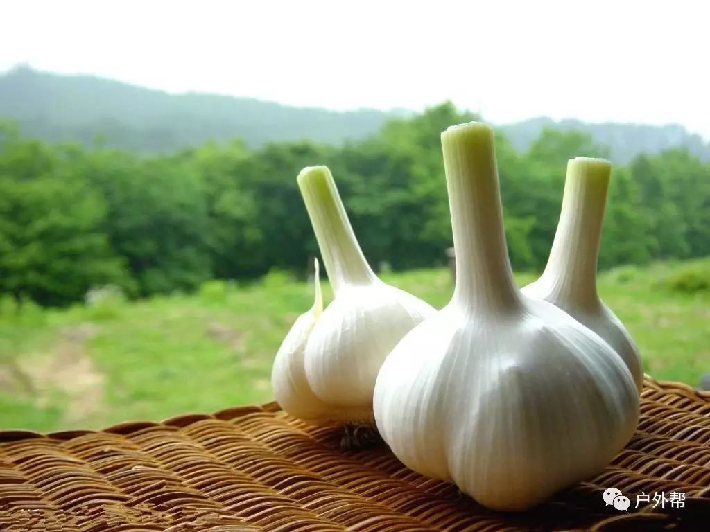 食物是最好的医药 这些东西一定要带去户外！