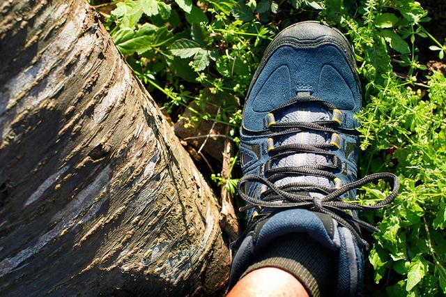 期待已久的萨洛蒙Salomon Evasion Mid GTX登山徒步鞋，专门为轻量化而设计的鞋